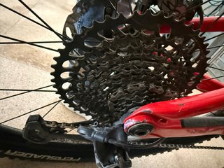 Trek Rail 2021