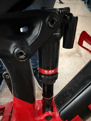Trek Rail 2021