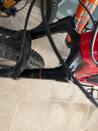 Trek Rail 2021
