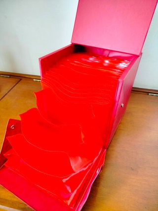 Raccoglitore 45 giri rosso vintage