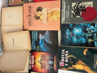 Lote de libros antiguos