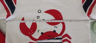 Conjunto Talla 9-12M