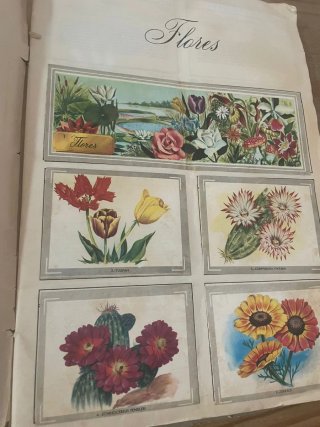 Álbum cromos Naturaleza y Color