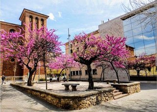 Local comercial en alquiler en Almeda - El Corte Inglés en Cornellà de Llobregat