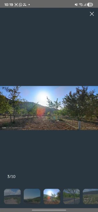 Terreno de cultivo con olivos y almendros