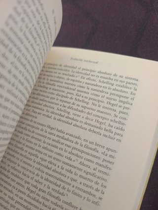 El pensamiento alemán de Kant a Heidegger