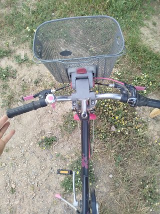 Bicicleta infantil Btwin niña