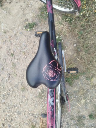 Bicicleta infantil Btwin niña