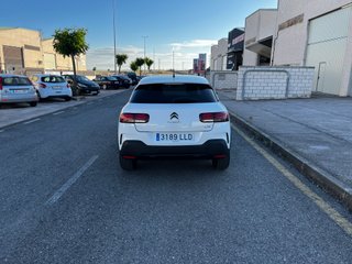 Citroen C4 Cactus 2020