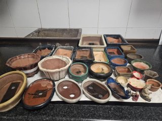 Lote Macetas Bonsái Cerámica Varias