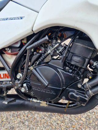 Honda NSR 75  Azul/Blanco