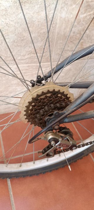 Bicicleta de Montaña