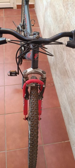Bicicleta de Montaña