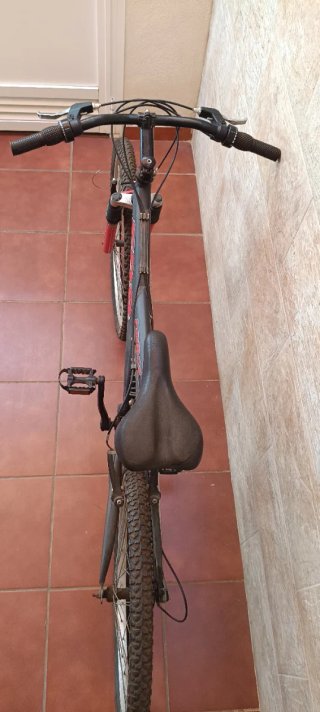 Bicicleta de Montaña
