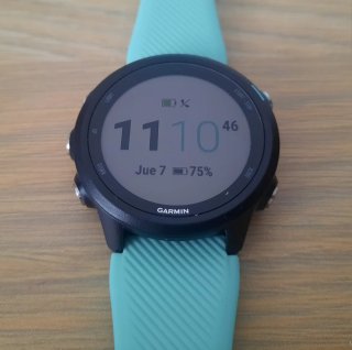 Garmin Forerunner 245 Music