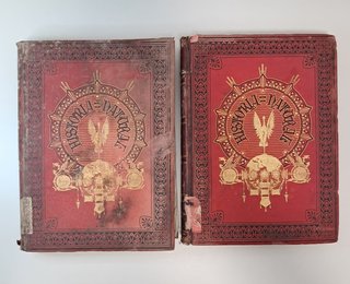 Lote 2 Libros Antiguos S. XIX - Historia Natural