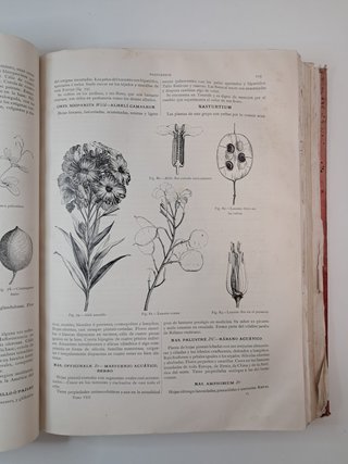 Lote 2 Libros Antiguos S. XIX - Historia Natural
