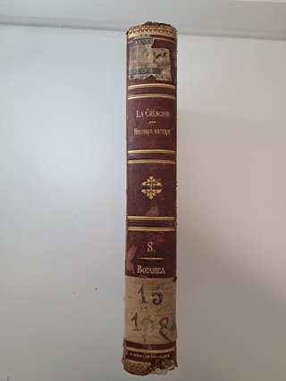 Lote 2 Libros Antiguos S. XIX - Historia Natural