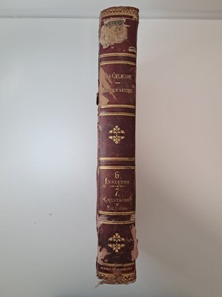 Lote 2 Libros Antiguos S. XIX - Historia Natural