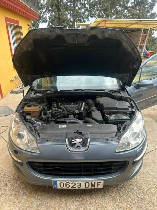Peugeot 407 2005