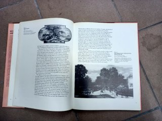 Livro Renoir and His Art