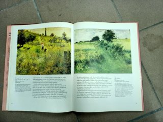 Livro Renoir and His Art