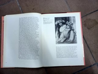 Livro Renoir and His Art