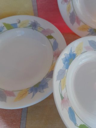 Platos Arcopal