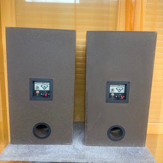 Pareja Altavoces Cerwin Vega R10