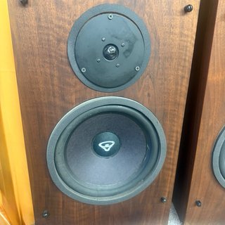 Pareja Altavoces Cerwin Vega R10