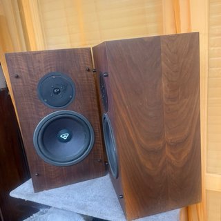 Pareja Altavoces Cerwin Vega R10