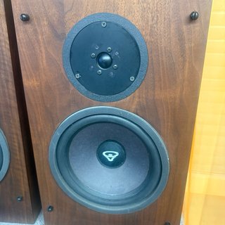 Pareja Altavoces Cerwin Vega R10