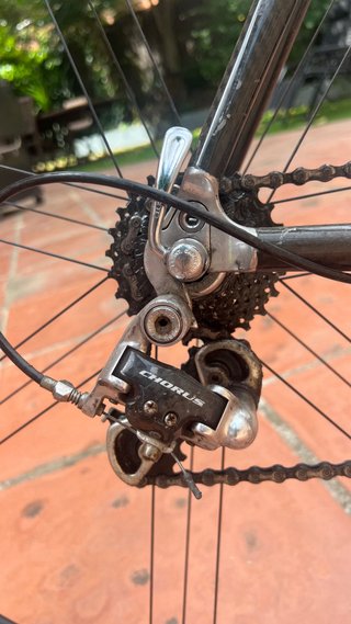 Kuota Kharma Carbono Talla M