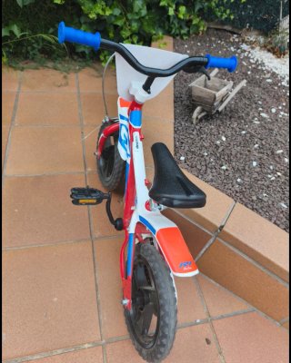 Bicicleta de aprendizaje Dino Bikes
