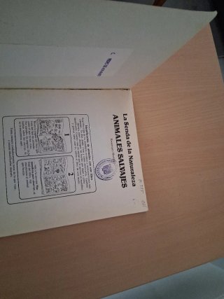 Animales salvajes