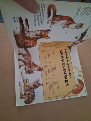 Animales salvajes