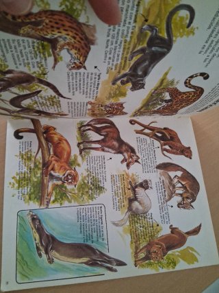 Animales salvajes