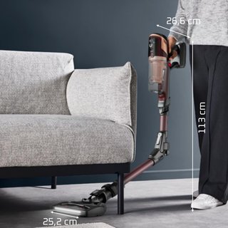 Rowenta X-Pert 6.80 Flex Aspirador