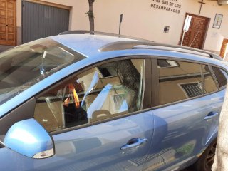 Renault Megane 2014