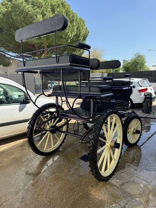 Coche de caballos azul y crema