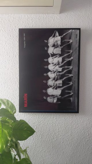 Póster MARÍN - IVAM 2008