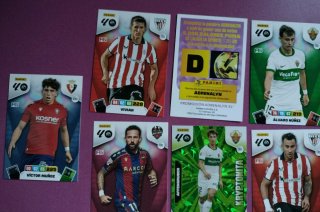 Cromos Panini Adrenalyn XL