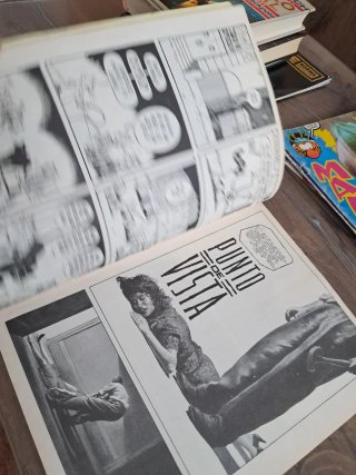 Revista el víbora n° 140.