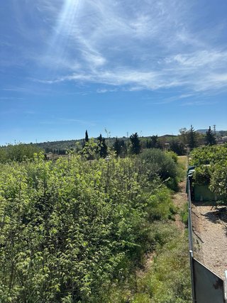 terreno rustico / terreny rustic