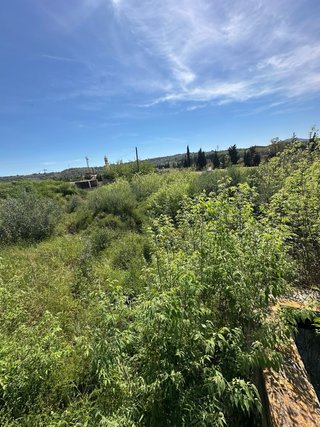 terreno rustico / terreny rustic