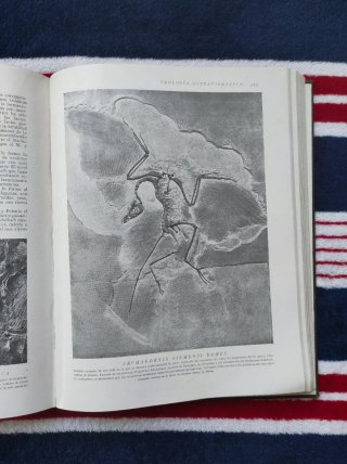 Geografía Universal