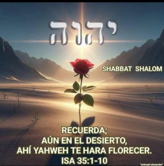 Biblia de Jerusalén letra grande