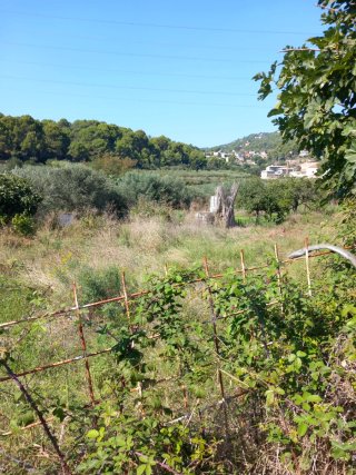 Alquiler terreno
