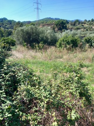Alquiler terreno