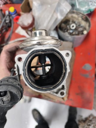 Válvula EGR Delphi 1.9 TDI